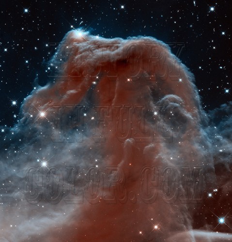 Horsehead nebula orion hubble - nebula,